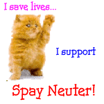 Spay or Neuter